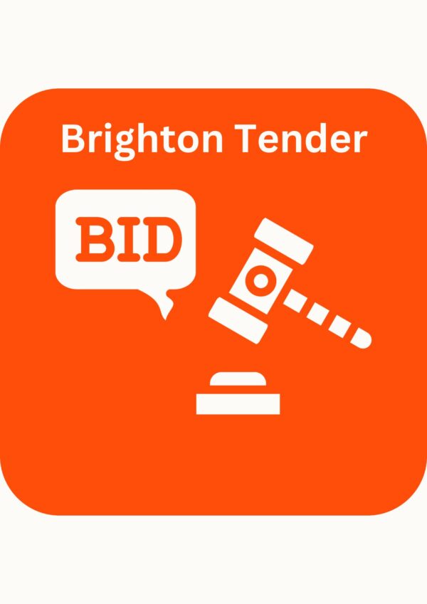 Tender Writer Wanted – BHCC EB Care Homes in Brighton and Hove